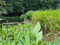 -成都市活水公园