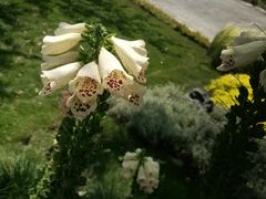 -中国天府农业博览园