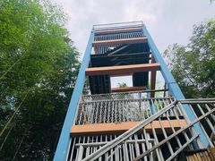 -宁波浙东大竹海景区