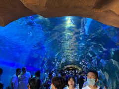 -华夏文旅海洋公园