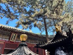 -潭柘寺景区