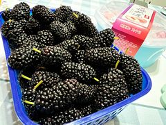 -仲雅水果大卖场(仲雅苑店)