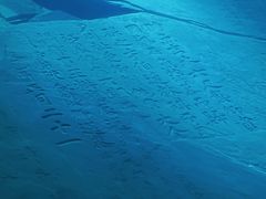 -白鹤梁水下博物馆