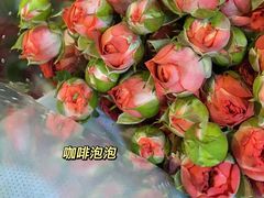 -循礼门鲜花花市(武汉循礼门店)