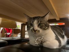 -echoes coffee回响咖啡(888街店)