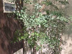 -四方茶集·茶馆(南山科技园店)