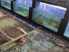 水产区-汤记传菜(秀浦路店)
