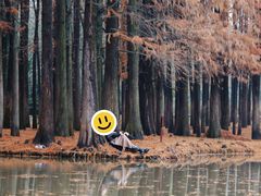 -上海共青森林公园