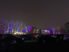 -枫花园汽车电影院(朝阳公园店)