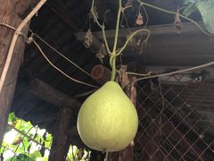 -鱼窝棚柴火铁锅炖(富山屯店)