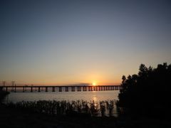 -宝安西湾红树林湿地公园