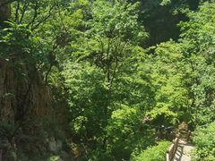 -大连天门山国家森林公园