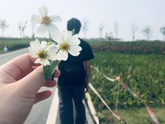 -光明小镇欢乐田园