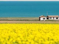 -青海湖国家重点风景名胜区