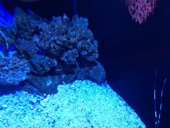 -迪拜水族馆及水下动物园