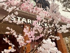 -星巴克臻选(思南公馆店)