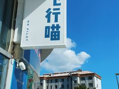 -飞行喵MR PILOT|猫舍·猫咖(静安大融城店)