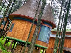 -洛阳白云山景区