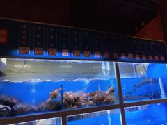 水产区-泮金大塘(北二七路店)