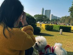 -二沙岛艺术公园