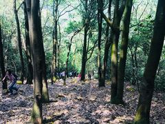 -火炉山森林公园