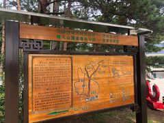 -帽儿山国家森林公园