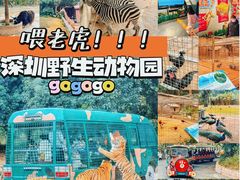 -深圳野生动物园