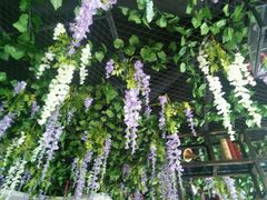 -寂寞的豆芽(龙泽路店)