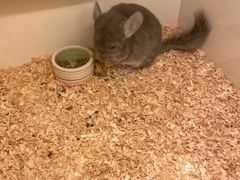 -龙猫仔乐园(惠福东路店)