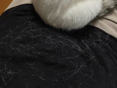 -瑞派福兴宠物医院犬猫全科·骨科·中西医结合(河东店)