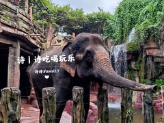 -长鹿旅游休博园