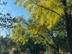 -国家植物园南园