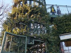 -三鹰之森吉卜力美术馆