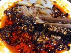 -北大街红丽涮牛肚火锅店