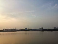 -金隆兴(镜湖店)