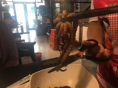 -东海章鱼馆(恒瑞街店)