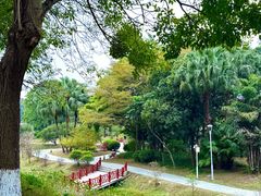 -东莞植物园