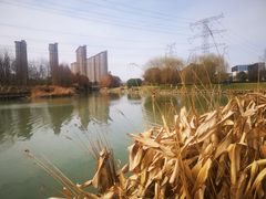 -九里河湿地公园