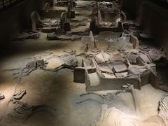 -洛阳周王城天子驾六博物馆