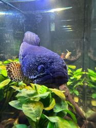 -Zoolung Zoolung动物主题公园(海信广场店)