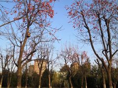 -西安汉城湖景区