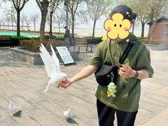 -天津妈祖文化园