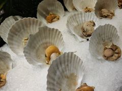 -太湖饭店玉兰厅(自助餐厅)