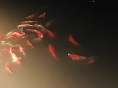 -雅达·阳羡溪山小镇中心