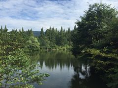 -井冈山革命烈士陵园