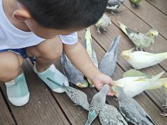 -秦皇岛野生动物园