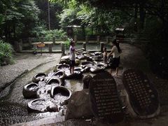 -成都市活水公园