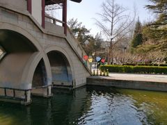 -团结湖公园