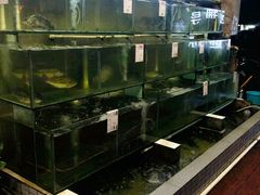 -祈胜邨•顺德鱼生•顺德菜(容桂店)