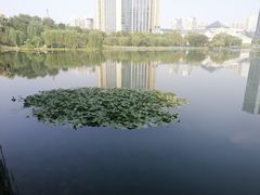 -后襄河公园